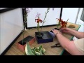 Ikebana in 10 minutes!