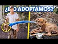 RESCATANDO PERRITO ENFERMO Y ABANDONADO de las calles | LOS POLINESIOS