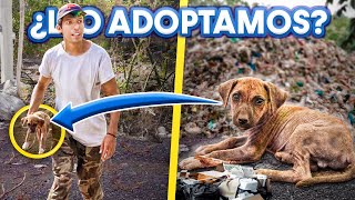 RESCATANDO PERRITO ENFERMO Y ABANDONADO de las calles | LOS POLINESIOS