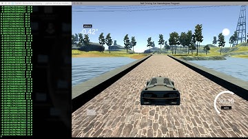 Behavioral Cloning Success