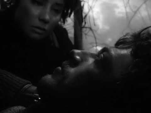 Неотправленное письмо / გაუგზავნელი წერილი / Letter Never Sent - მიხეილ კალატოზოვი