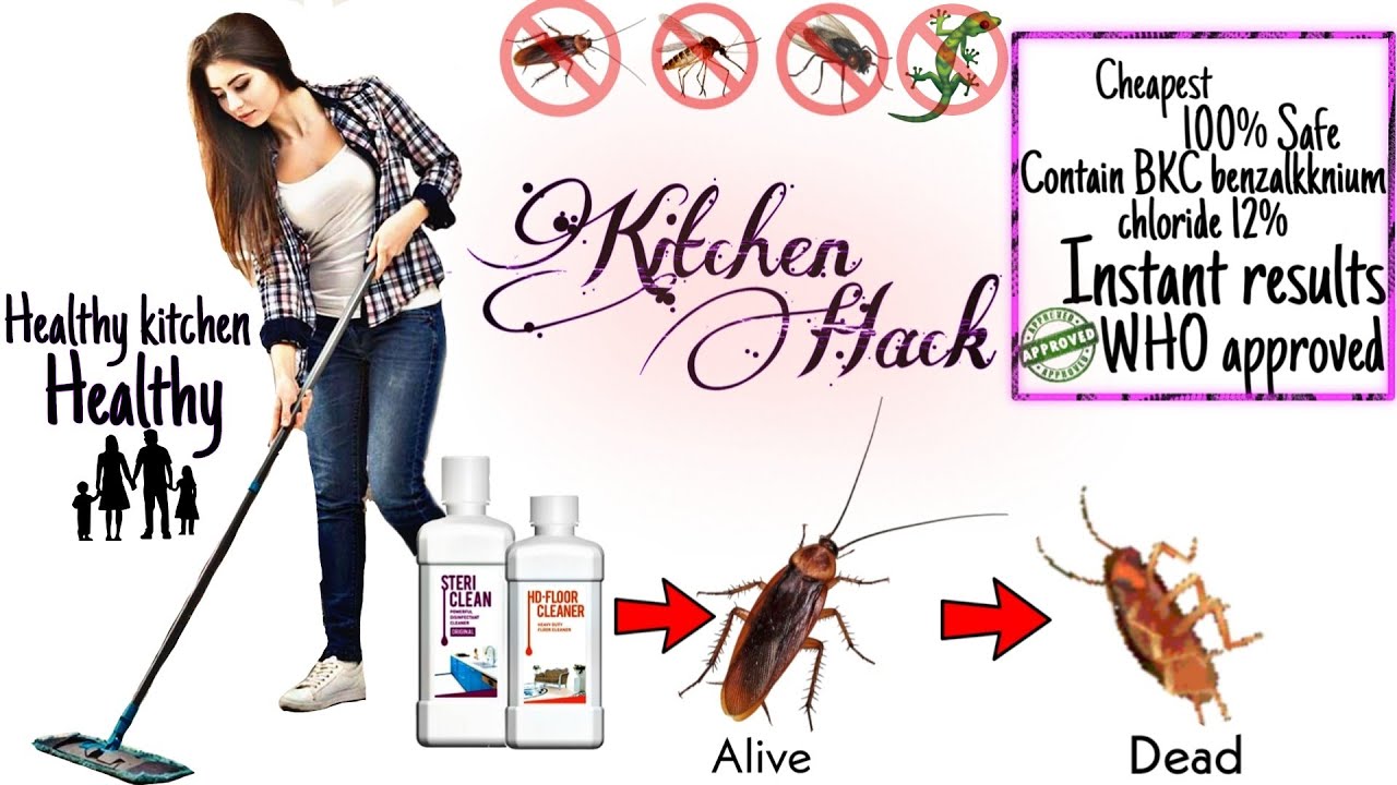 All Purpose Home Hyegiene|Protect from COVID|Modicare Kitchen Hack ...
