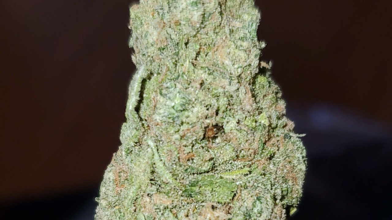 SOUR SKITTLES STRAIN WAKE AND BAKE STYLE YouTube