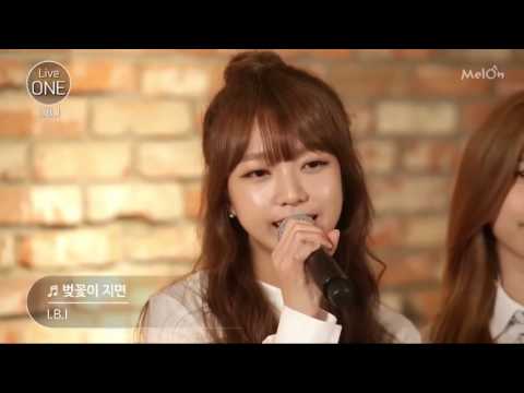[COVER] 벚꽃이지면 BY. 퀵빛짹푼핸