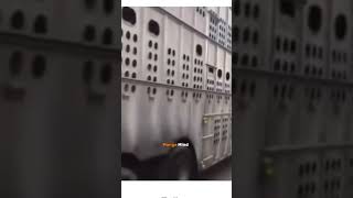 Protesters vs Truck