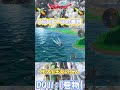 【DQⅡ】初心者でも安心！巻物の入手解説！【バシルーラの巻物】 #ドラクエ #ドラゴンクエスト #dq2  #巻物