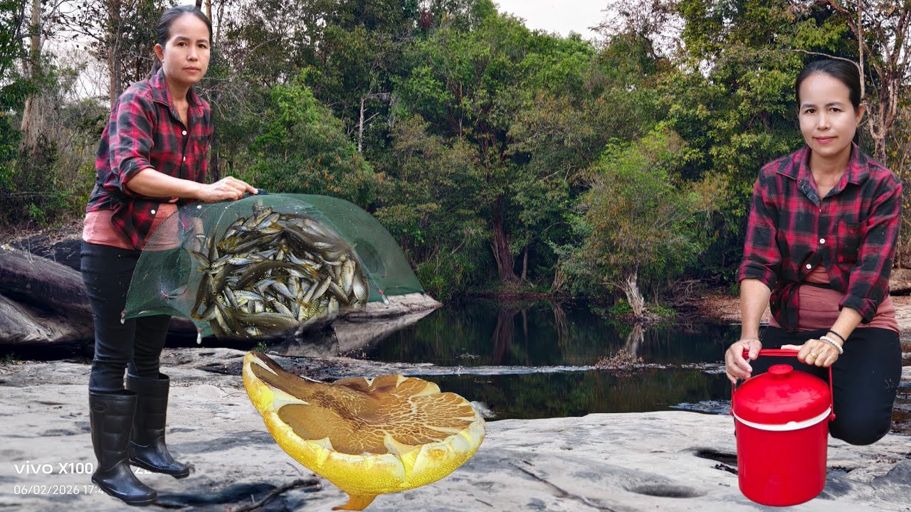 ลงห้วยหากับข้าวเเลงหมานปลาซิวข้าวได้เห็ดผึ้งข้าวดงอีกจ้า6/2/69