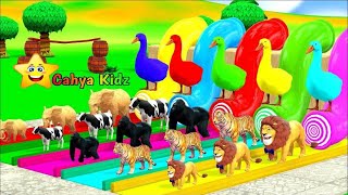 🌈 Cahya Kidz Lagu Anak | Belajar Warna Untuk Anak Balita Dan Belajar Mengenal Hewan Warna Warni Lucu