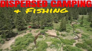 DISPERSED CAMPING & FISHING NEAR LAKE TAHOE