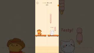 Dance Monkey, Duet Cats