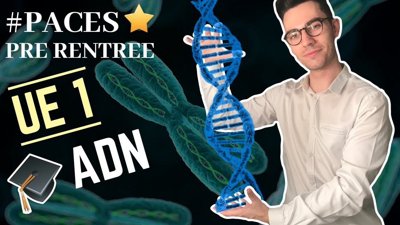 LES BASES SUR L'ADN POUR VOTRE PACES