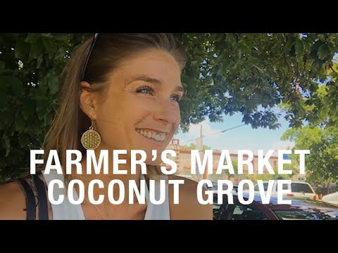 no sugar for a month LOCAL ADVENTURES: COCONUT GROVE FARMER'S MARKET EXPEDITION