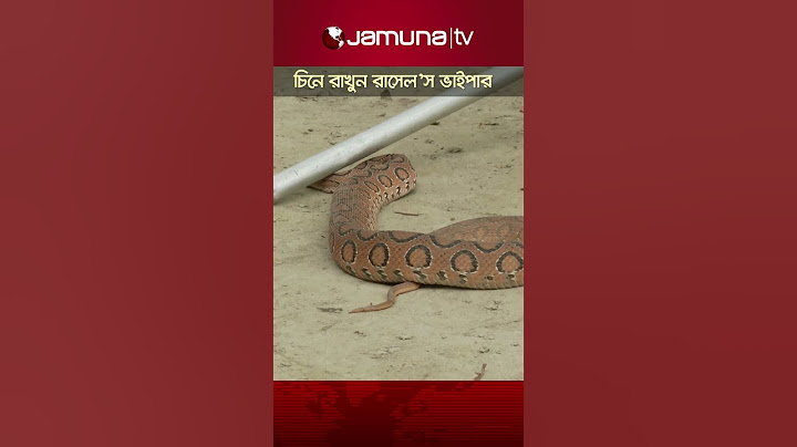 চিনে রাখুন রাসেল'স ভাইপার! #russellsviper #snake #jamunatv #trendingvideo #jamunatelevision