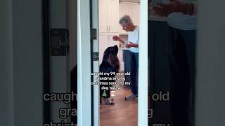 94 year old sings to Giant newfoundland dog #dog #grandma #dogs