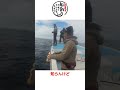 タイラバはフォール中にも要注意! #shorts