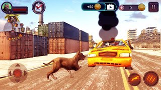 Pitbull Dog Simulator - All Levels Gameplay Android, iOS screenshot 5
