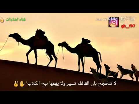 لا تدع الكلاب تنبح ورائك بحجة القافلة تسير اركن القافلة ولقن الكلاب درسا ثم واصل المسير