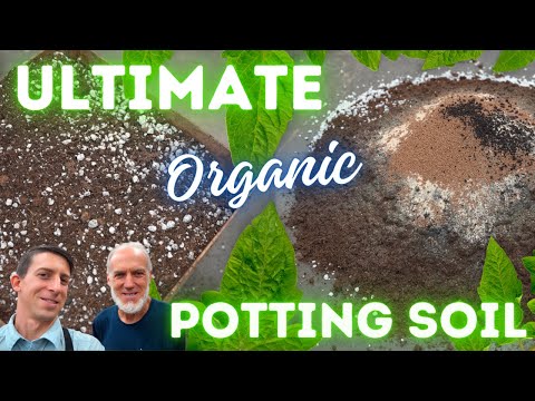 FASCINATING! Make Your Own World Record Organic Potting Soil! Recipe + Organic Gardening Tips