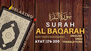 Surah Baqarah 176-200 | Beautiful Recitation | Quran Tilawat