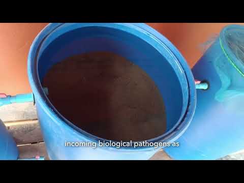 Building a Biosand Water Filter