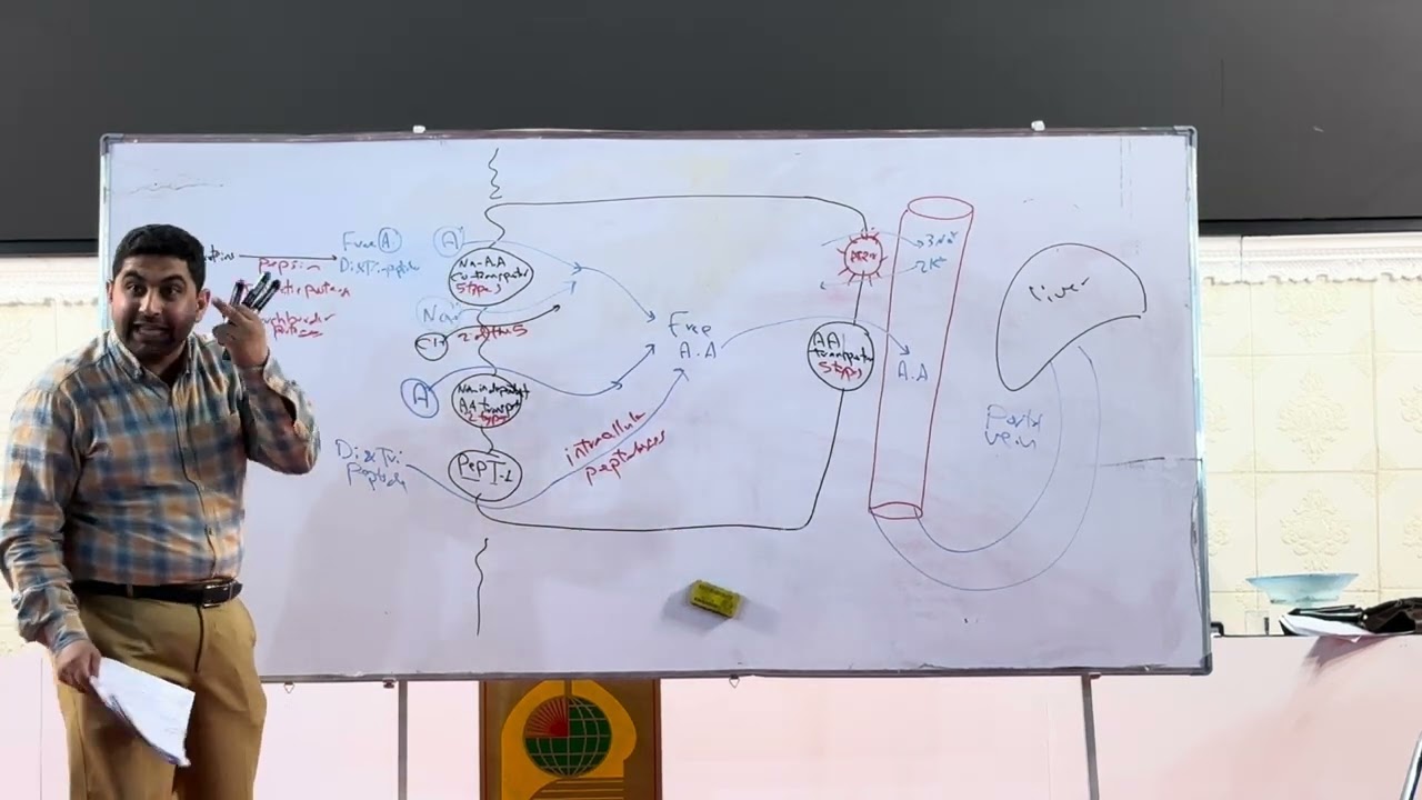 م19 / جزء2/ شرح جابتر 26 فسلجة كورس ثاني صيدلة (دكتور منتظر زميزم)