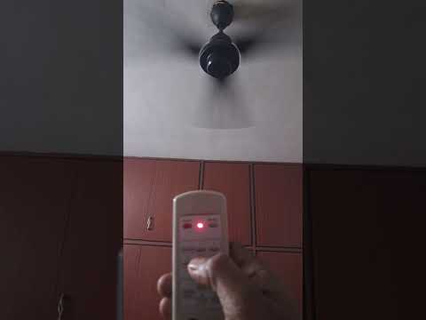 Orient Electric Zeno