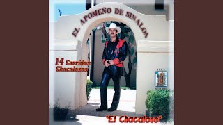 Video thumbnail of "El Apomeño de Sinaloa - Duda"