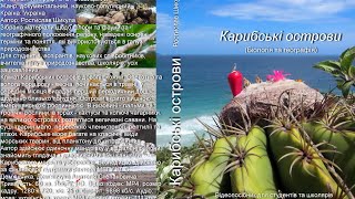 видео Карибські острови. Клімат, відпочинок і туризм на Карибах