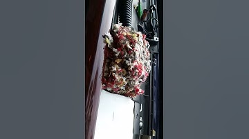 1994 Cadillac Deville Instrument Panel Removal discovery