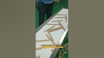 Factory Automatic Egg roll machine spring roll machine ④