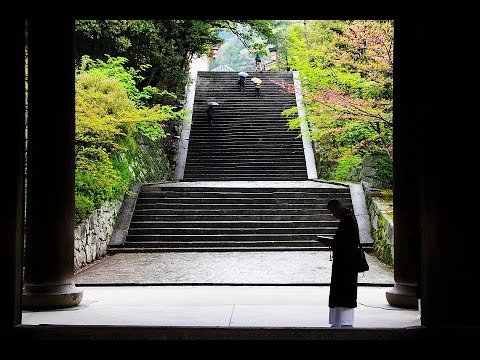 The Amazing Chion-In
