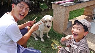 Lost Dog! Toys Activity with Pet Playground Pretend Play