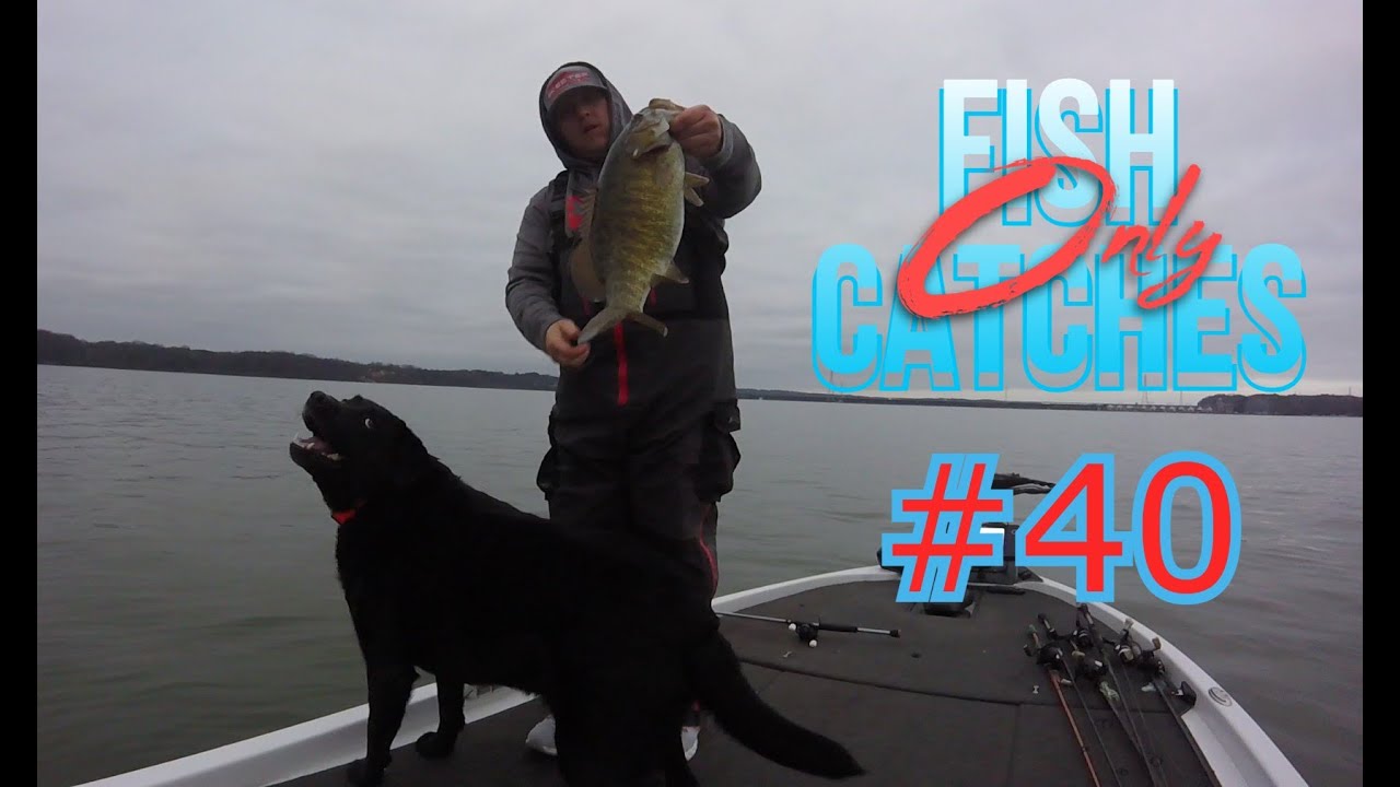 Wilson Lake Alabama Gold!!! Big Beautiful Smallmouth!!! YouTube