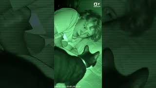 Cat Instantly Kills Insect Biting Sleeping Teen, Prevents Allergic Reaction | Night Vision Rescue 🐾🦟