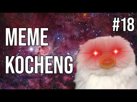 kocheng-bar-bar-menguasai-hooman-!-meme-kucing-#18