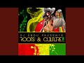 Roots and culture mix vol1