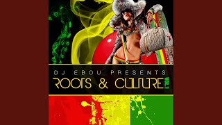 Roots and Culture Mix Vol.1