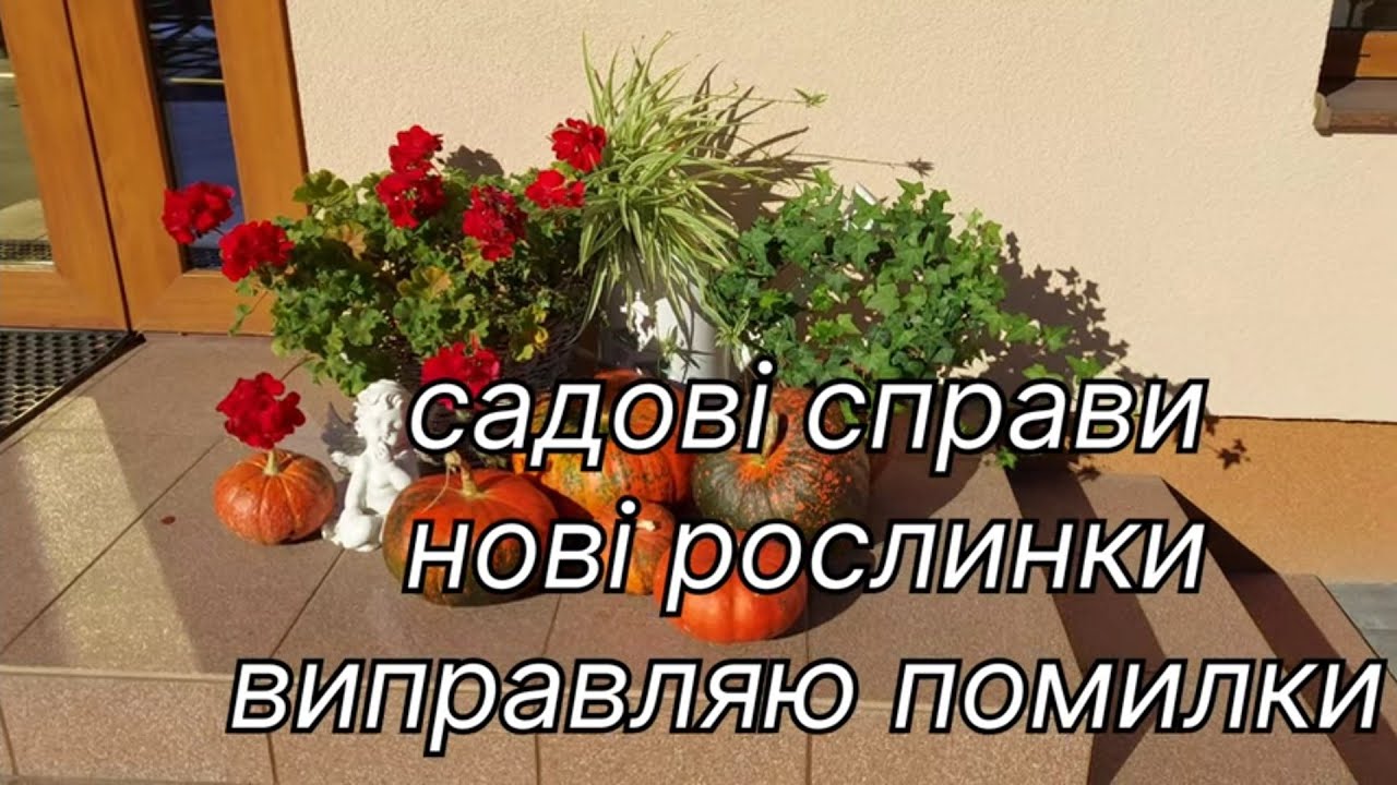 Виправляю помилки з колеусами, суницями і слимаками🤔