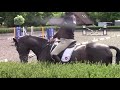 William Fox-Pitt practising the Olympic test on Oratorio during lock down.