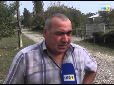 გამოყოფილი თანხა