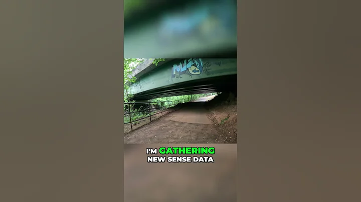 The Perception-Action Loop | How It Shapes Our Understanding of the World