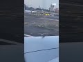 حمامة فوق جناح طائرة تحاول الاقلاع  