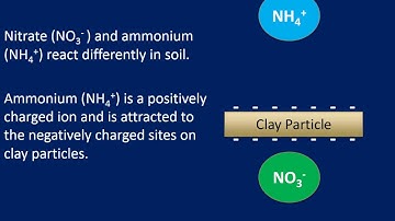 Soil Smarts Episode 5: Nitrogen Basics