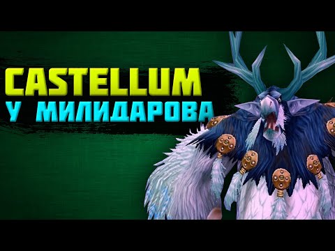 Видео: Castellum. Turtle Wow, Stormforge, разница между классикой и бк [В гостях у Милидарова]