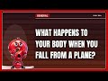 What Happens to Your Body when You Fall from a Plane Without a Parachute? #shorts