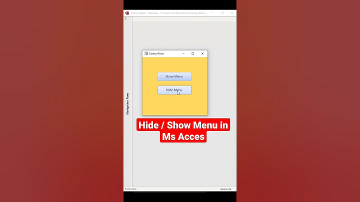 How to hide Menu or ribbon in Microsoft Access.