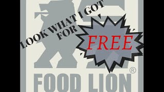 The results of my Food Lion free Visa Gift cards!!!
