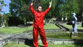 lefogy a tai chi