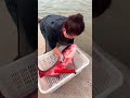 This Fish Has Never Been Painted ЁЯШЕЁЯРа This Fish Has Never Been Painted ЁЯШЕЁЯРа