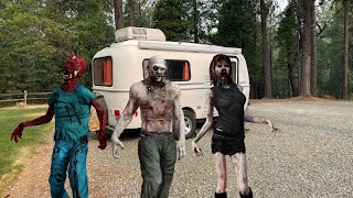 What Zombies Can Teach You About Dispersed Camping by Travels & Travails 1,252 views 1 year ago 16 minutes